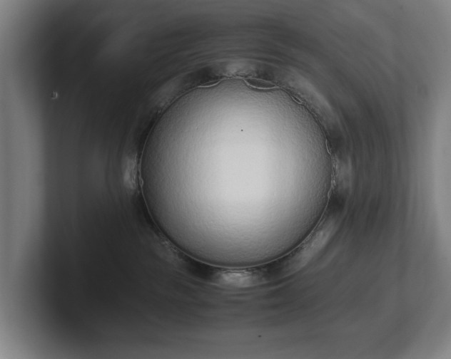 X0000101990189200807251233