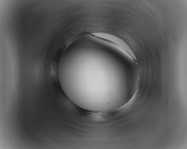 X0000101990190200807251233