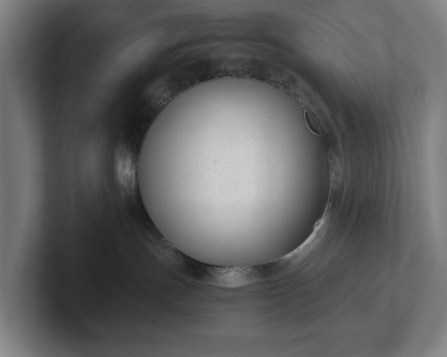 X0000101990191200807251233