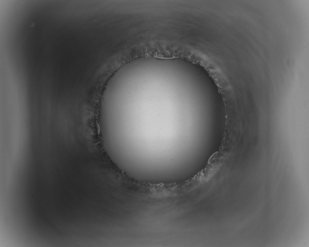 X0000101990192200807251233