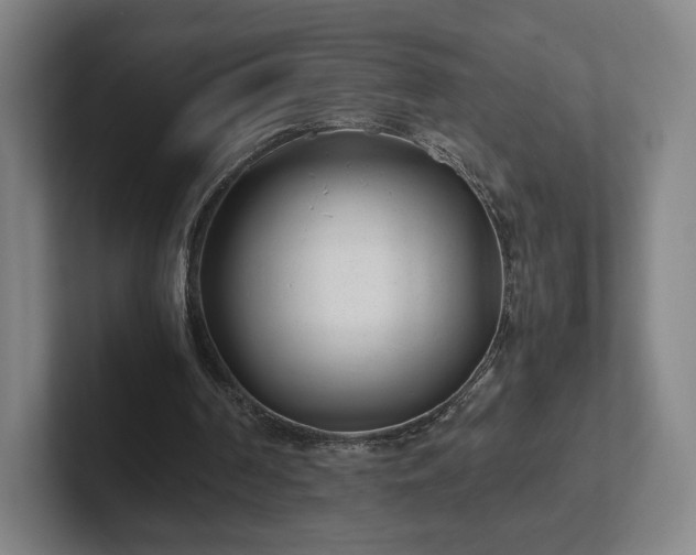 X0000101990194200807251233