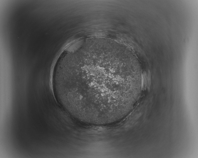 X0000101990195200807251233