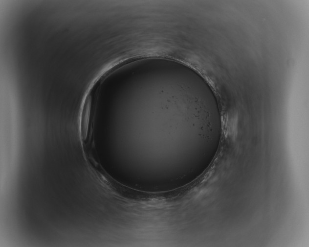 X0000101990196200807251233