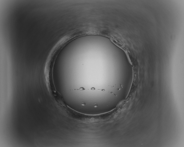 X0000101990197200807251233