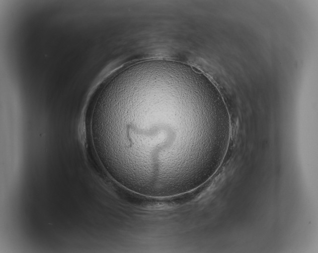 X0000101990198200807251233