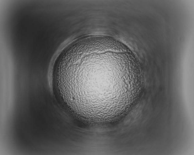 X0000101990199200807251233