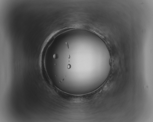 X0000101990200200807251233