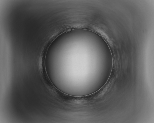 X0000101990201200807251233