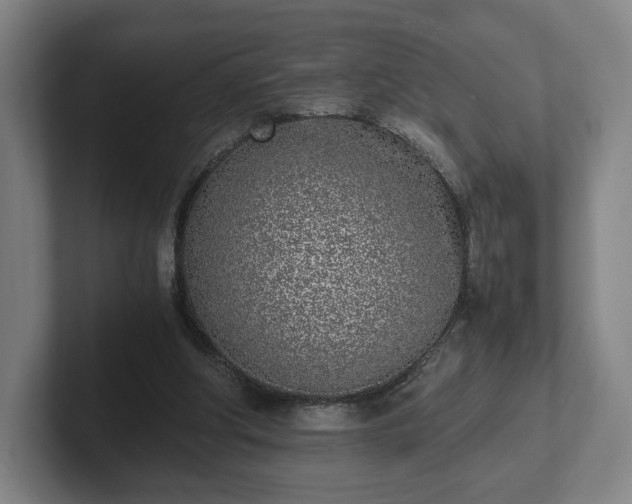 X0000101990202200807251233