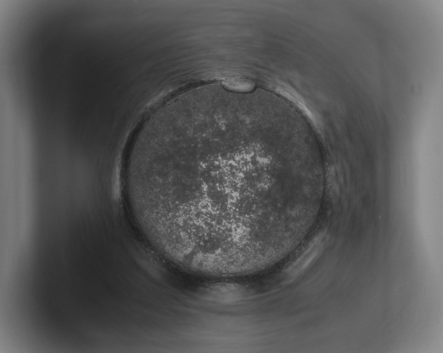 X0000101990203200807251232