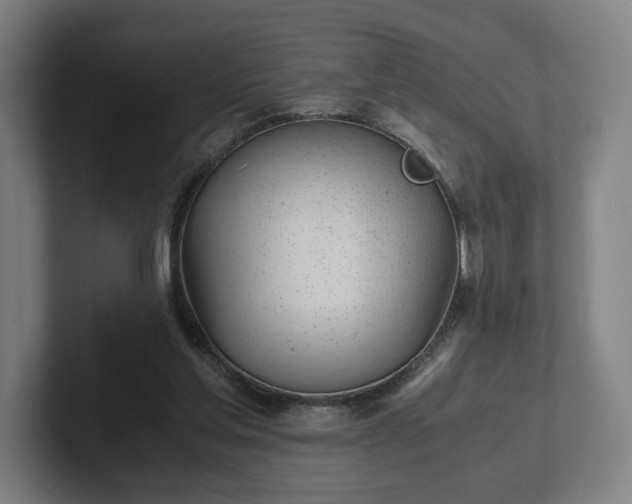 X0000101990205200807251232