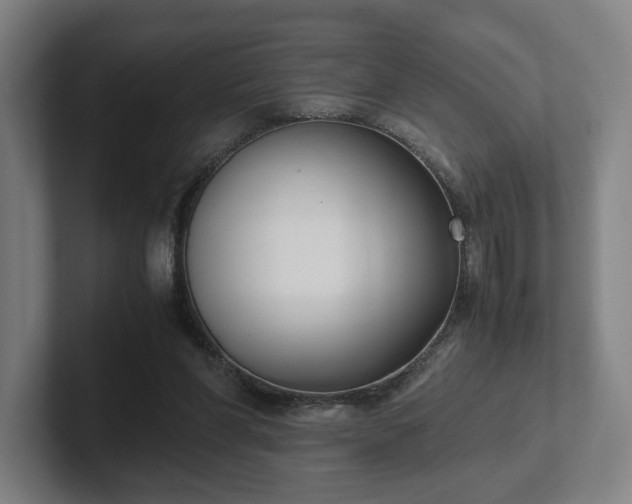 X0000101990206200807251232