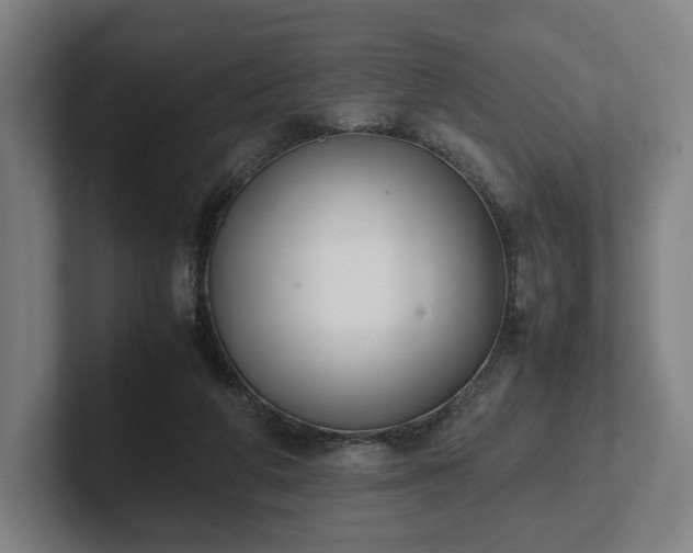 X0000101990210200807251232