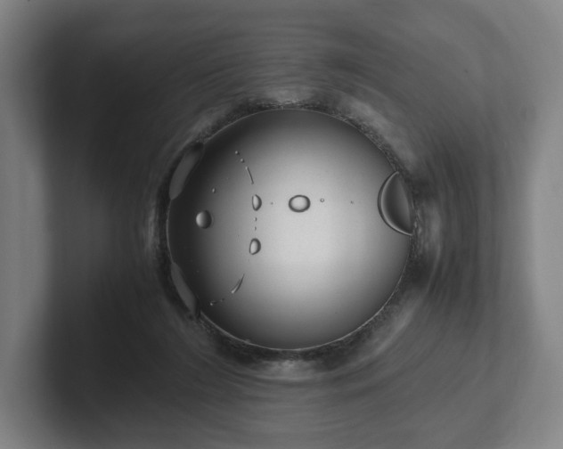 X0000101990212200807251232