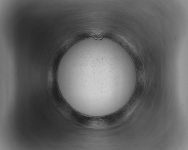X0000101990215200807251232