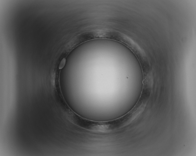 X0000101990217200807251232