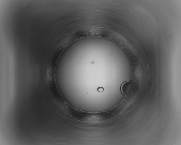X0000101990218200807251232