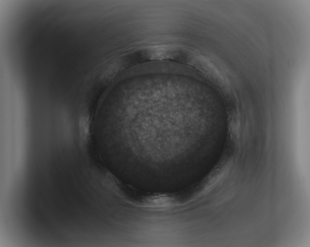 X0000101990219200807251232