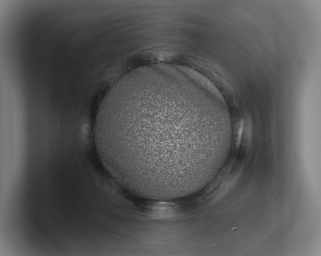 X0000101990222200807251232