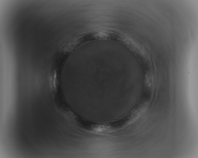 X0000101990223200807251232
