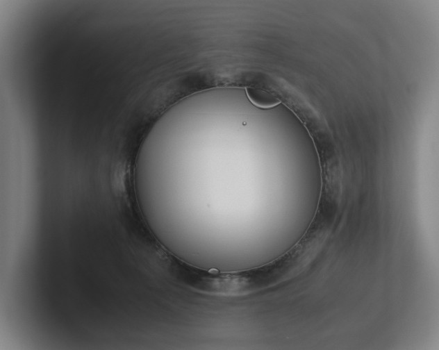 X0000101990225200807251232