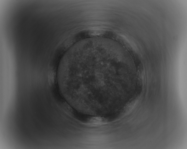 X0000101990227200807251232