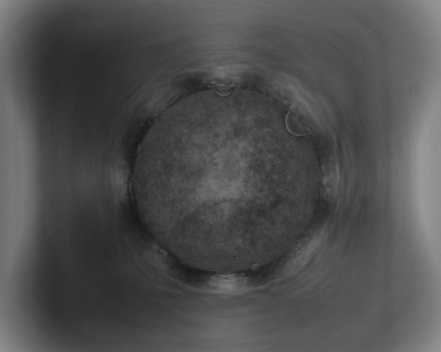X0000101990231200807251232