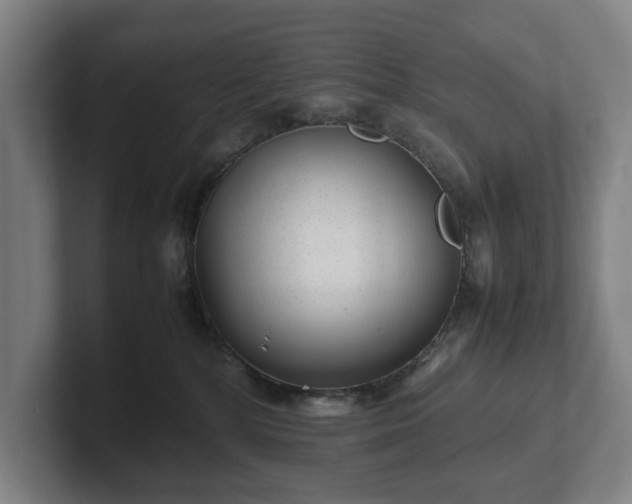 X0000101990232200807251232