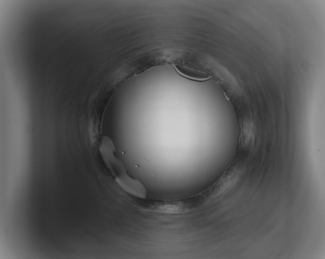 X0000101990236200807251232
