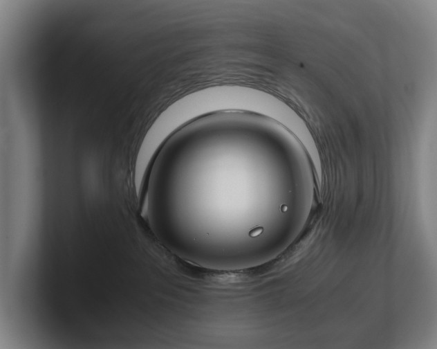X0000101990237200807251232