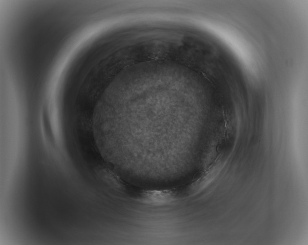 X0000101990239200807251232