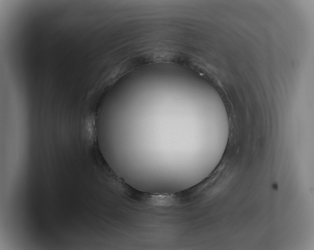 X0000101990240200807251232