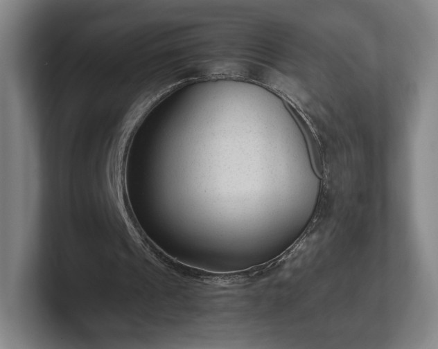 X0000101990241200807251231