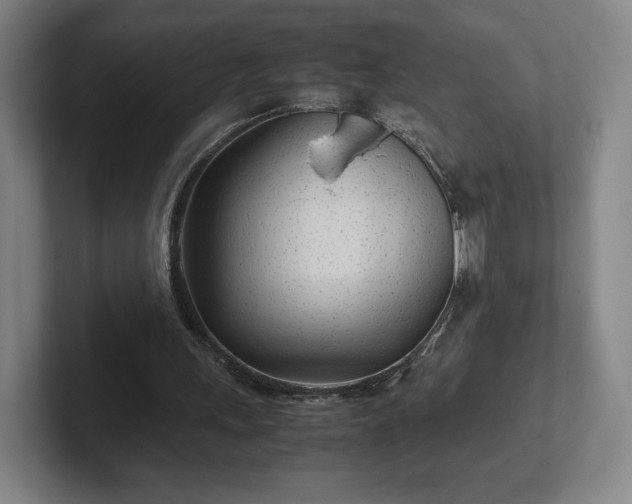 X0000101990243200807251231