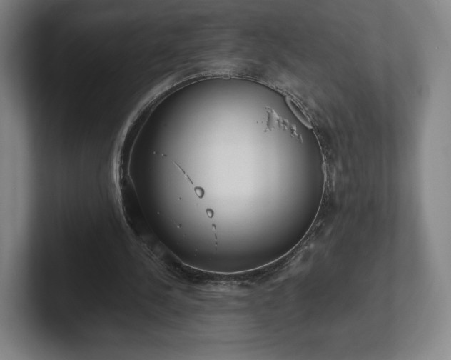 X0000101990244200807251231