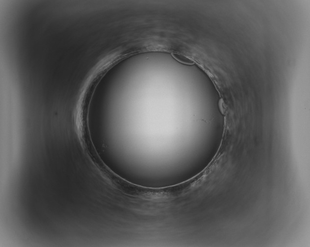 X0000101990245200807251231