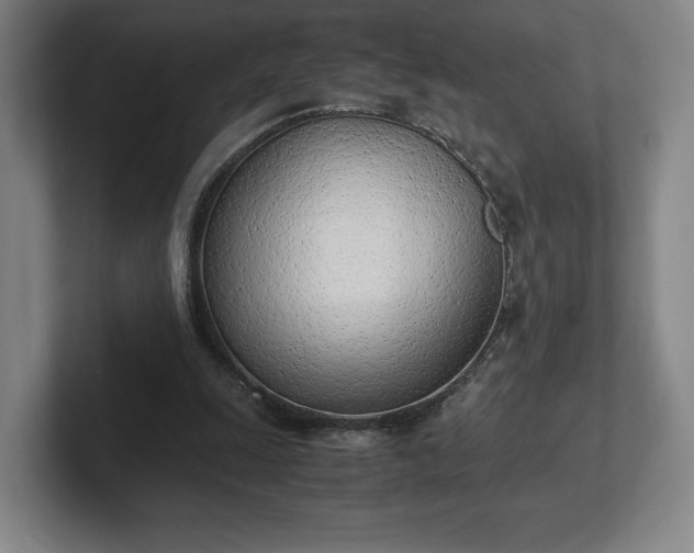 X0000101990247200807251231