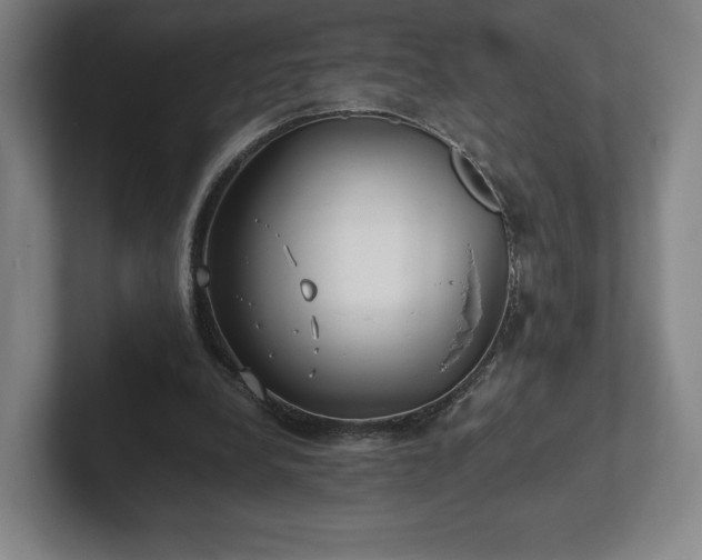X0000101990248200807251231