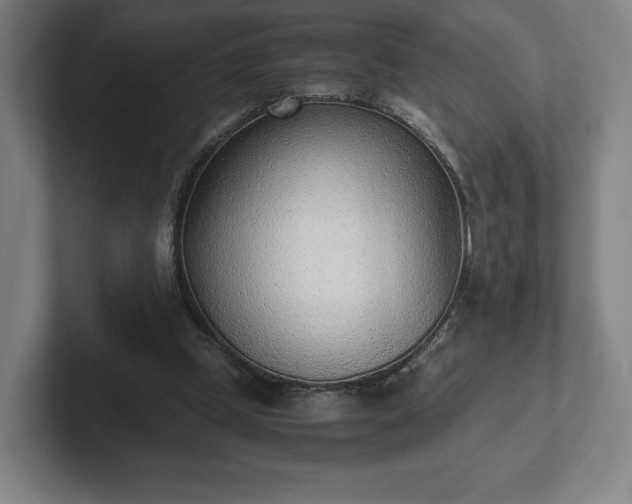 X0000101990249200807251231