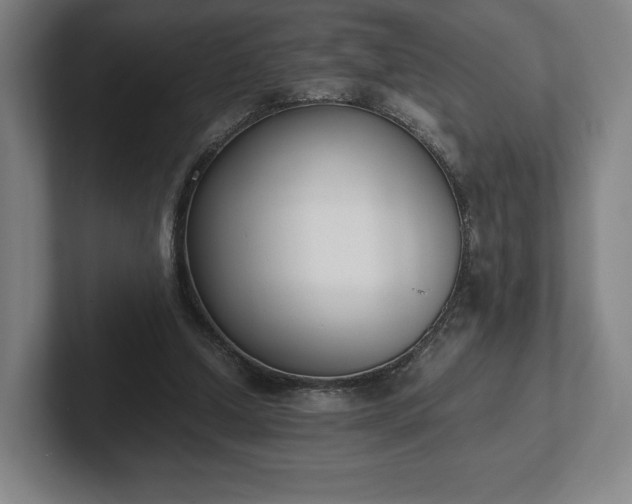 X0000101990250200807251231