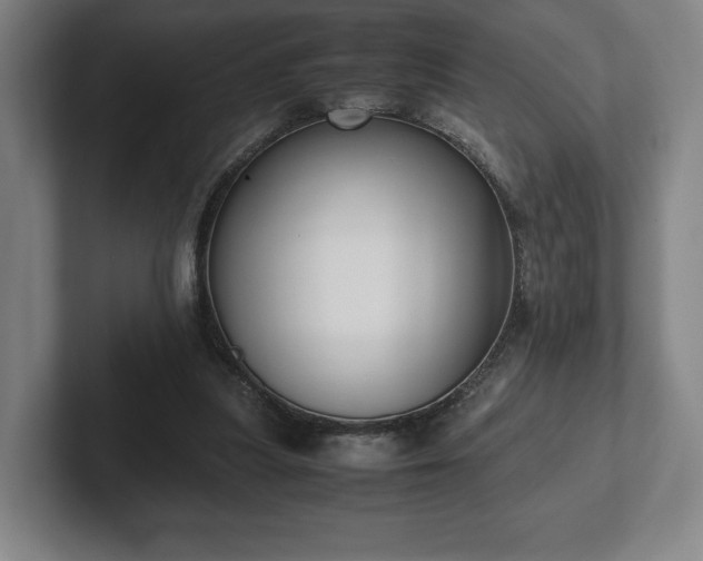 X0000101990251200807251232