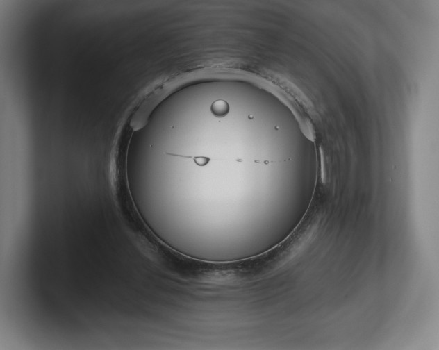X0000101990252200807251232