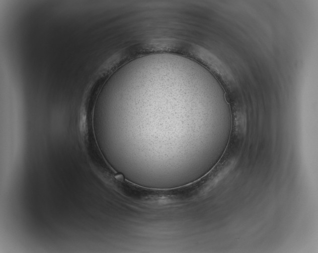 X0000101990254200807251232