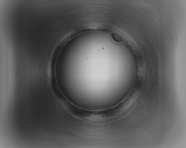 X0000101990256200807251232