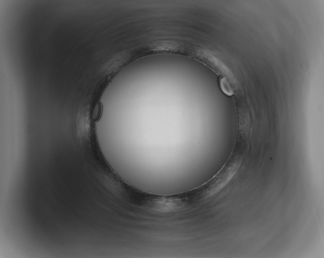 X0000101990261200807251232