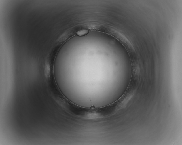 X0000101990262200807251232