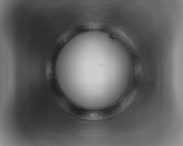 X0000101990264200807251232