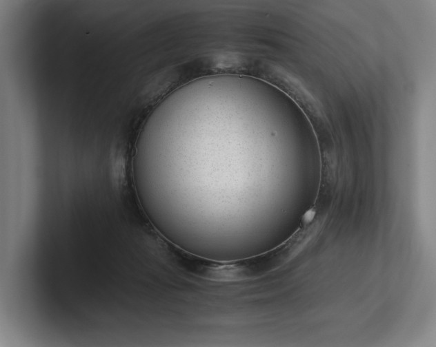 X0000101990269200807251232