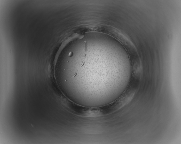 X0000101990270200807251232
