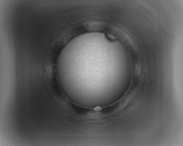 X0000101990271200807251232